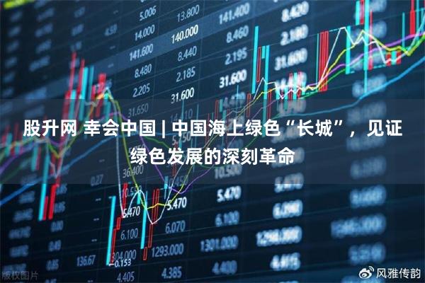 股升网 幸会中国 | 中国海上绿色“长城”，见证绿色发展的深刻革命