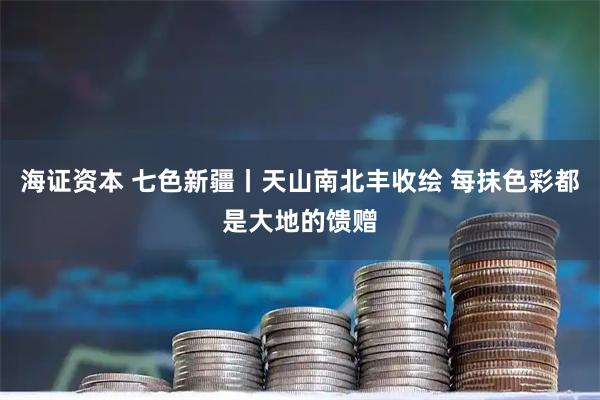 海证资本 七色新疆丨天山南北丰收绘 每抹色彩都是大地的馈赠