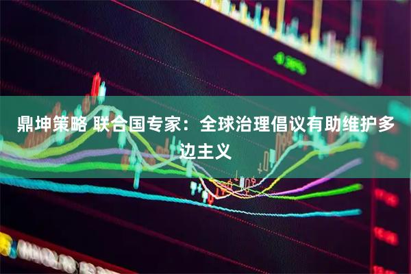 鼎坤策略 联合国专家：全球治理倡议有助维护多边主义