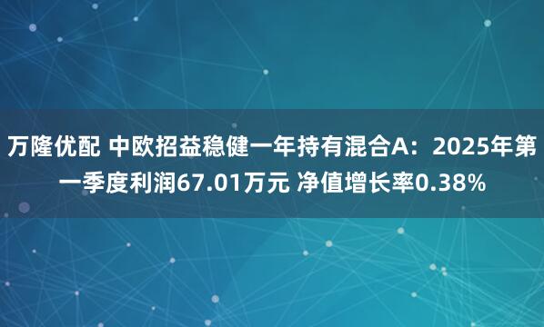 万隆优配 中欧招益稳健一年持有混合A：2025年第一季度利润67.01万元 净值增长率0.38%
