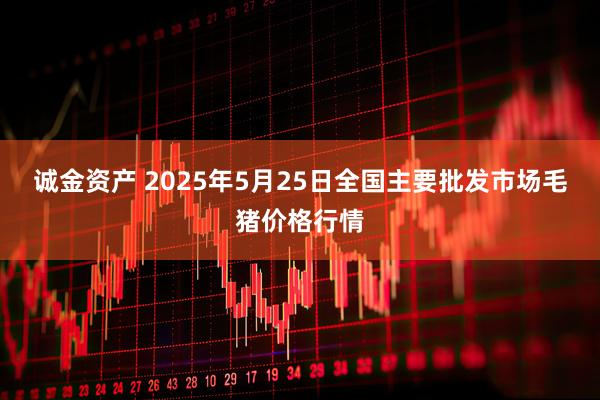 诚金资产 2025年5月25日全国主要批发市场毛猪价格行情