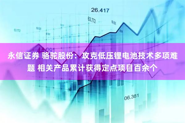 永信证券 骆驼股份：攻克低压锂电池技术多项难题 相关产品累计获得定点项目百余个