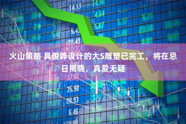 火山策略 具俊晔设计的大S雕塑已完工，将在忌日揭晓，真爱无疑