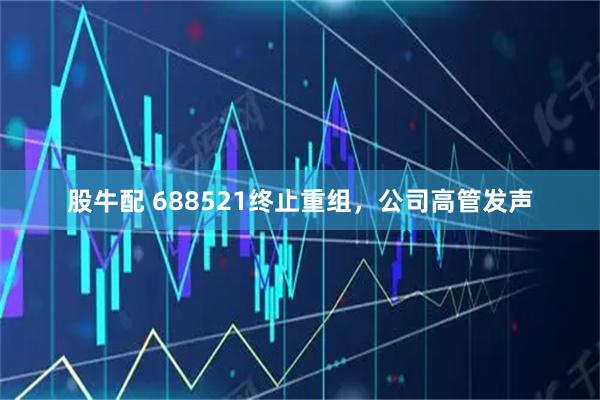 股牛配 688521终止重组，公司高管发声