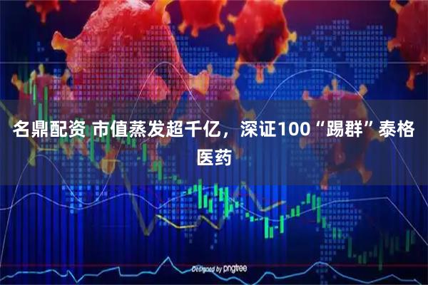 名鼎配资 市值蒸发超千亿，深证100“踢群”泰格医药