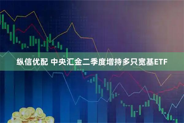 纵信优配 中央汇金二季度增持多只宽基ETF