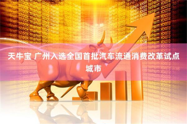 天牛宝 广州入选全国首批汽车流通消费改革试点城市